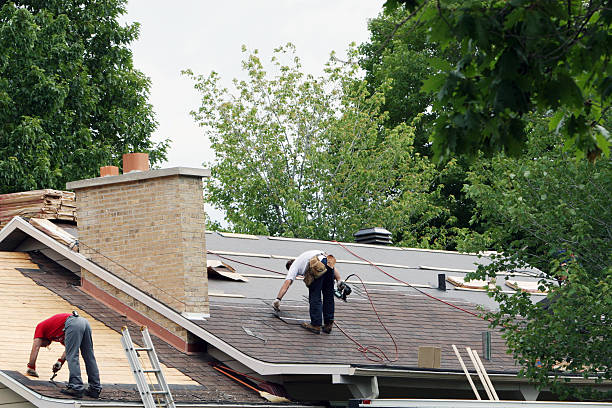 Fast & Reliable Emergency Roof Repairs in Warren Park, IN