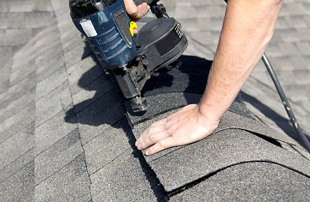 Best Roof Coating and Sealing  in Warren Park, IN