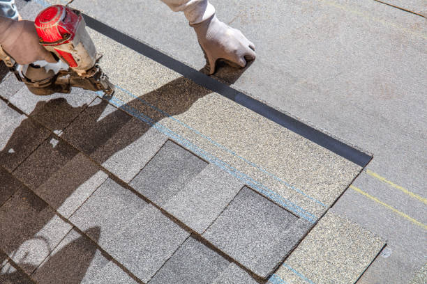 Best Roof Insulation Installation  in Warren Park, IN